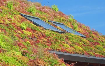 Trenoon living roof systems
